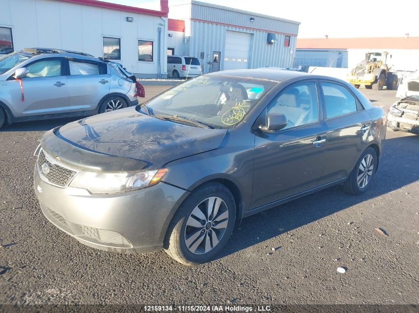 2013 Kia Forte VIN: KNAFU4A23D5683694 Lot: 12159134