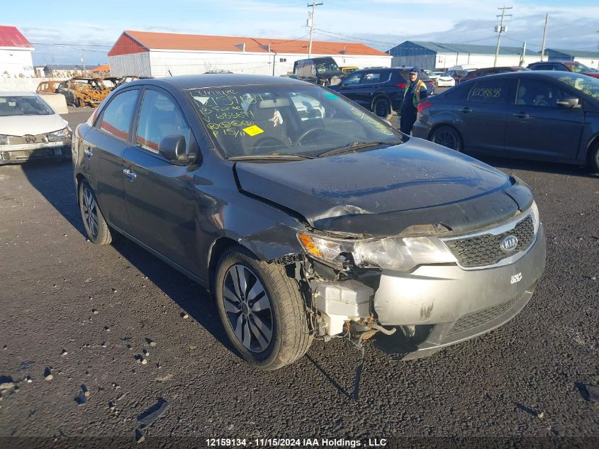 2013 Kia Forte VIN: KNAFU4A23D5683694 Lot: 12159134