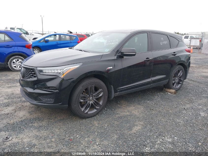 2019 Acura Rdx A-Spec VIN: 5J8TC2H62KL800181 Lot: 12159849