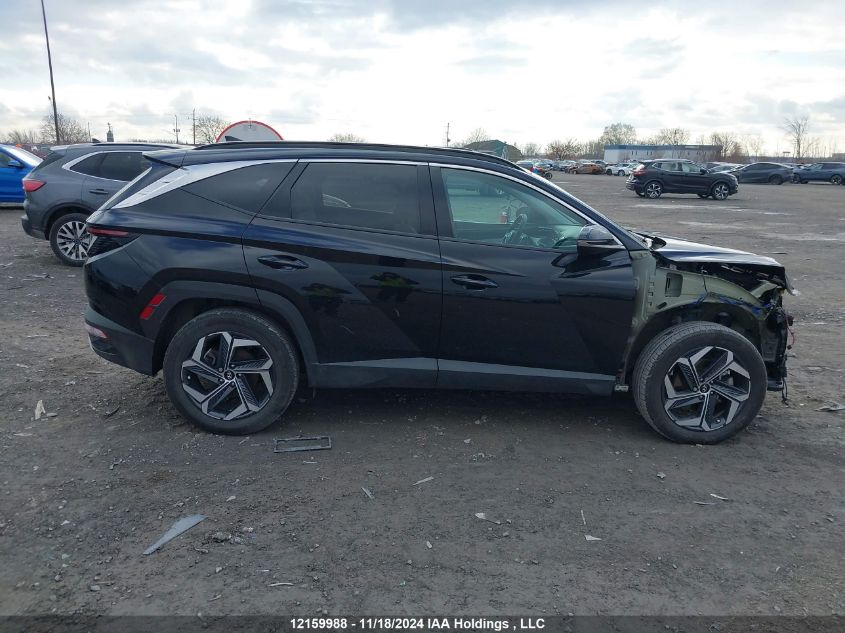 2024 Hyundai Tucson Luxury Awd VIN: KM8JCCD12RU137703 Lot: 12159988