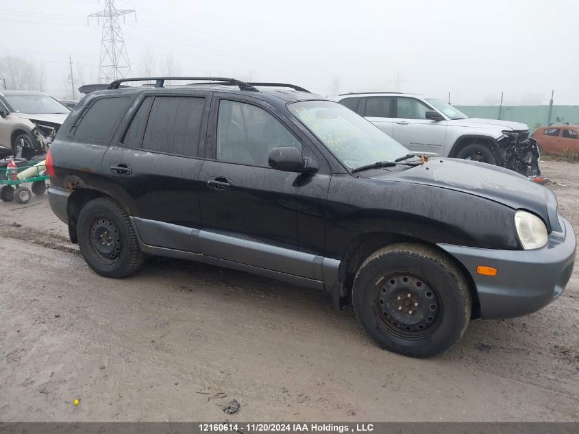 2004 Hyundai Santa Fe VIN: KM8SB73DX4U840193 Lot: 12160614