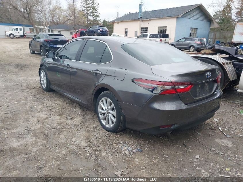 2021 Toyota Camry Hybrid Le VIN: 4T1C31AK9MU021983 Lot: 12163519