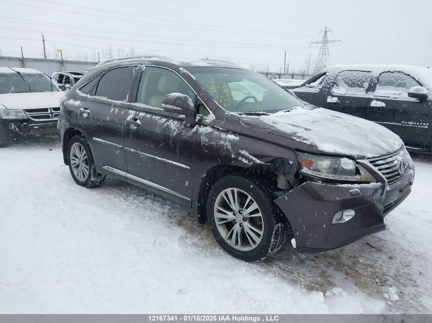2013 Lexus Rx