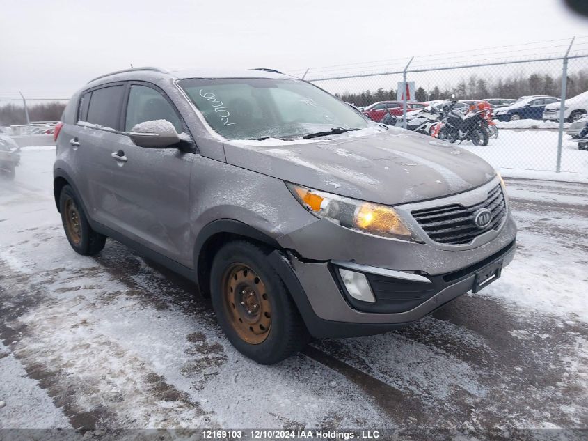 2012 Kia Sportage VIN: KNDPB3A20C7291248 Lot: 12169103