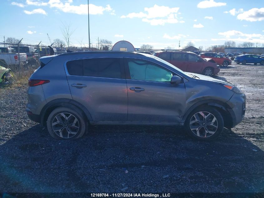 2020 Kia Sportage VIN: KNDPNCAC9L7769182 Lot: 12169784