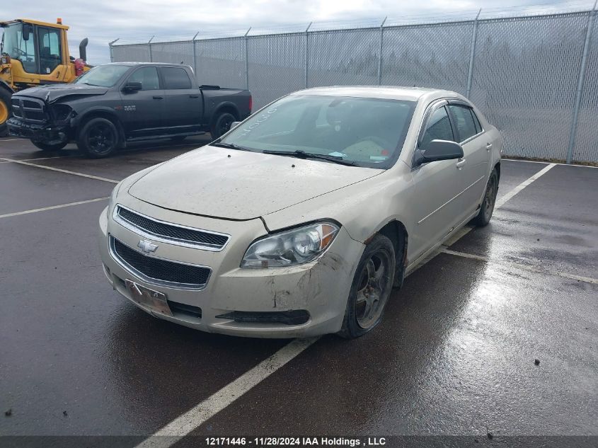 2011 Chevrolet Malibu VIN: 1G1ZB5EU0BF386633 Lot: 12171446