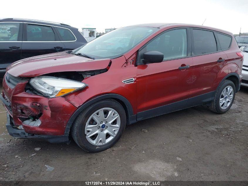 2014 Ford Escape S VIN: 1FMCU0F76EUC25430 Lot: 12172074