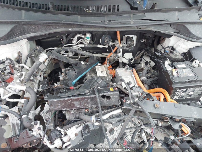 2019 Kia Niro Ev VIN: KNDCE3LG4K5010187 Lot: 12176853