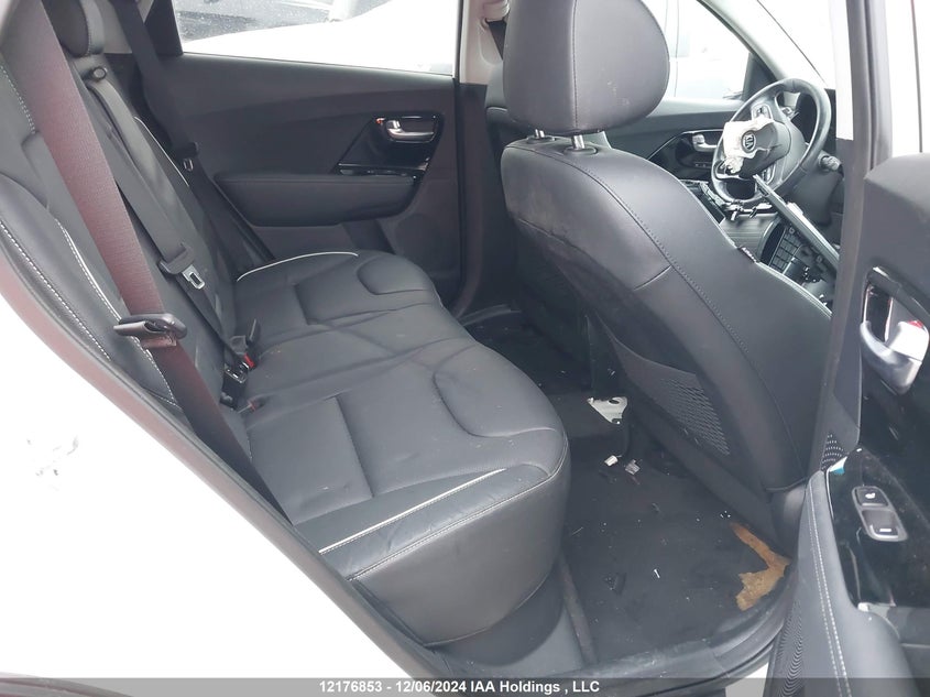 2019 Kia Niro Ev VIN: KNDCE3LG4K5010187 Lot: 12176853