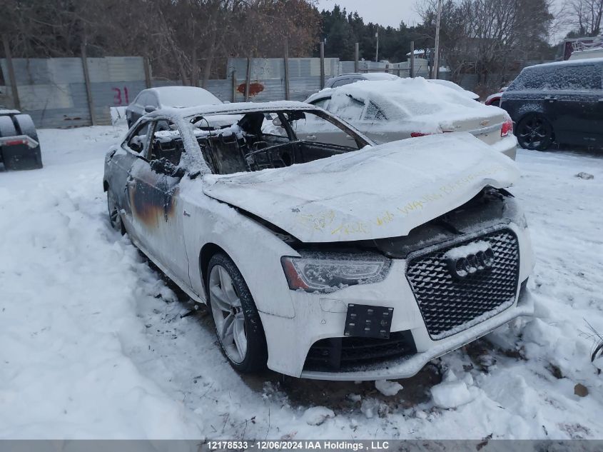 2014 Audi S5