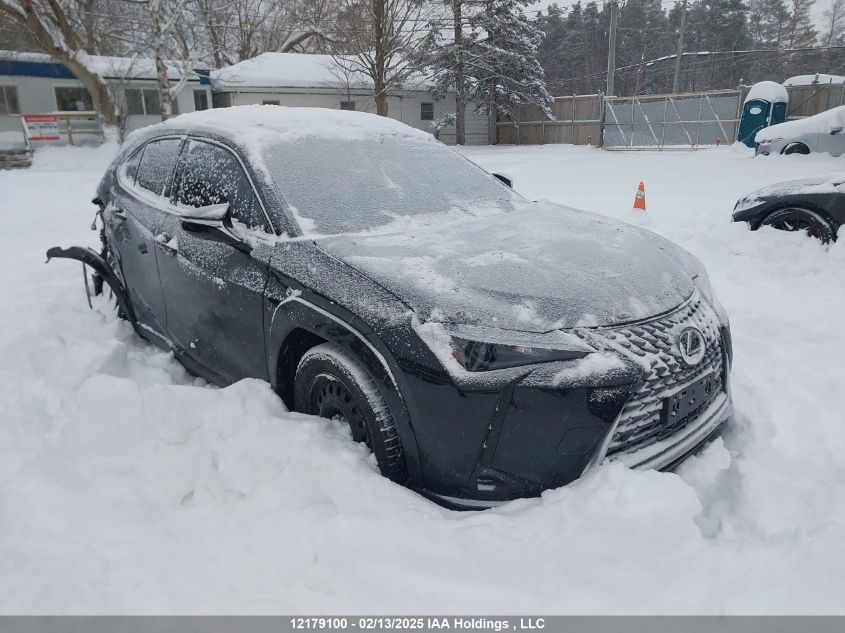 2025 Lexus Ux