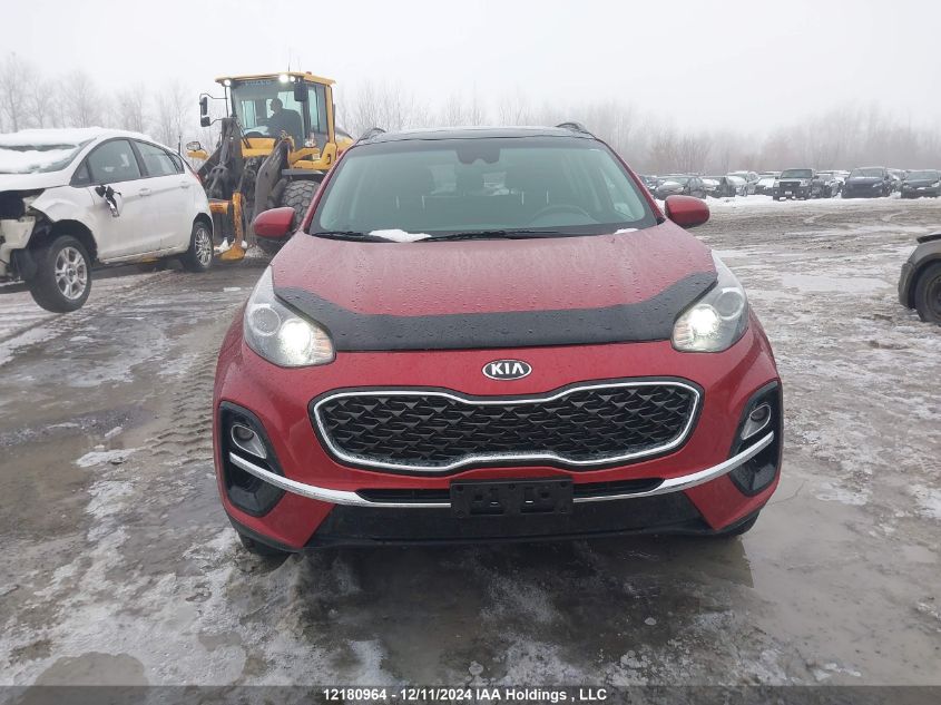 2020 Kia Sportage VIN: KNDPNCAC1L7705542 Lot: 12180964