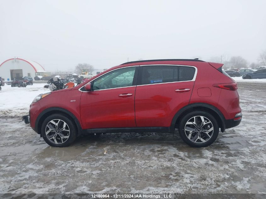 2020 Kia Sportage VIN: KNDPNCAC1L7705542 Lot: 12180964