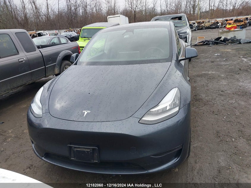 2023 Tesla Model Y VIN: 7SAYGAEE1PF601229 Lot: 12182060