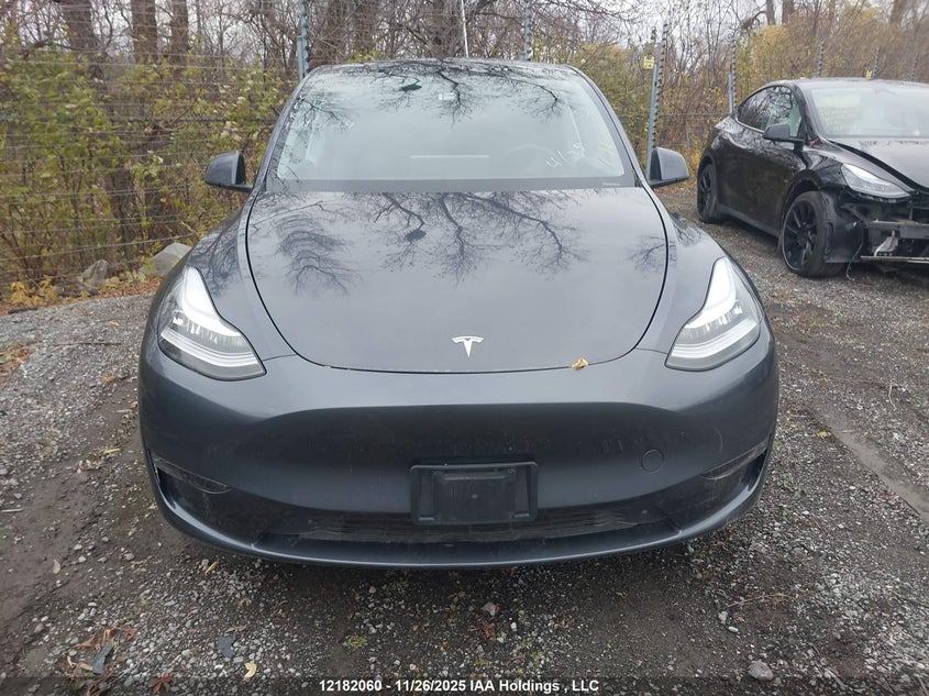 2023 Tesla Model Y VIN: 7SAYGAEE1PF601229 Lot: 12182060