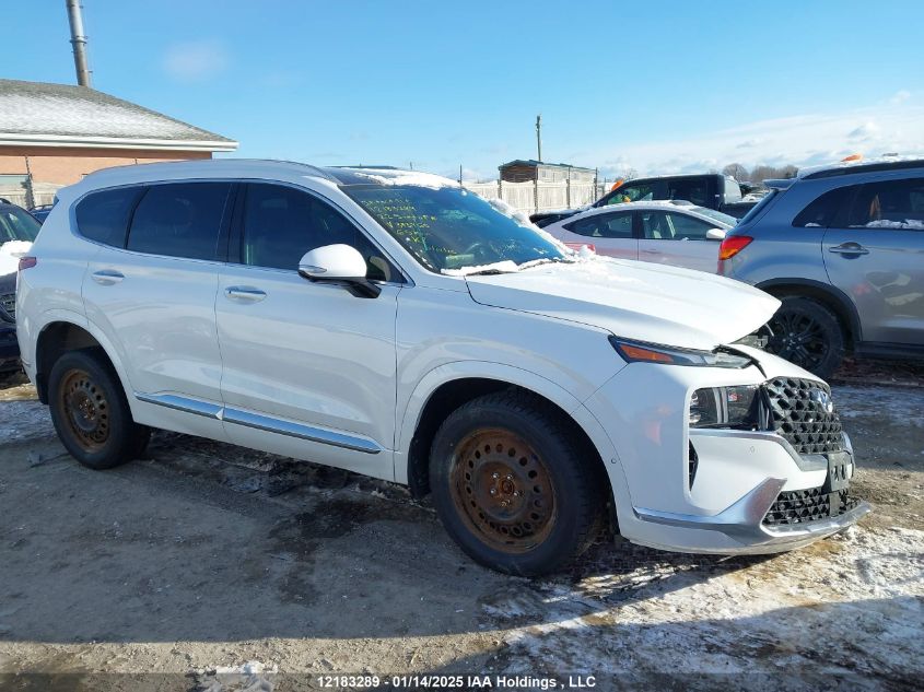 2022 Hyundai Santa Fe VIN: 5NMS5DAL8NH393960 Lot: 12183289