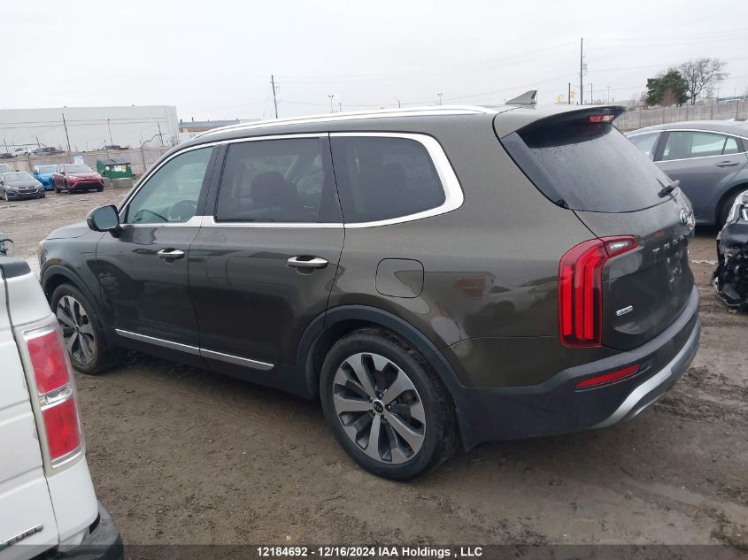 2021 Kia Telluride VIN: 5XYP5DHCXMG170680 Lot: 12184692