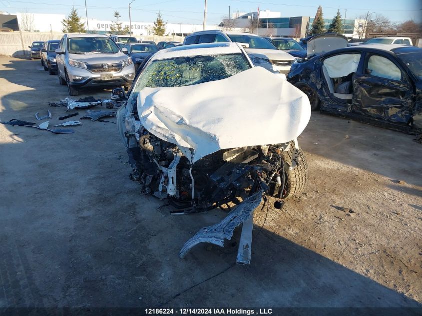 2019 Infiniti Q50 VIN: JN1EV7AR4KM555545 Lot: 12186224