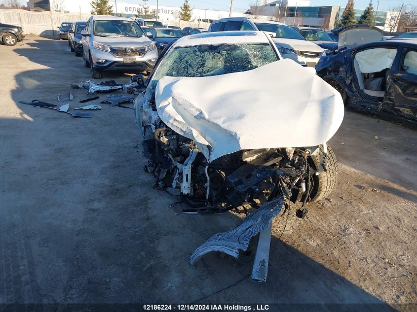 2019 Infiniti Q50 VIN: JN1EV7AR4KM555545 Lot: 12186224