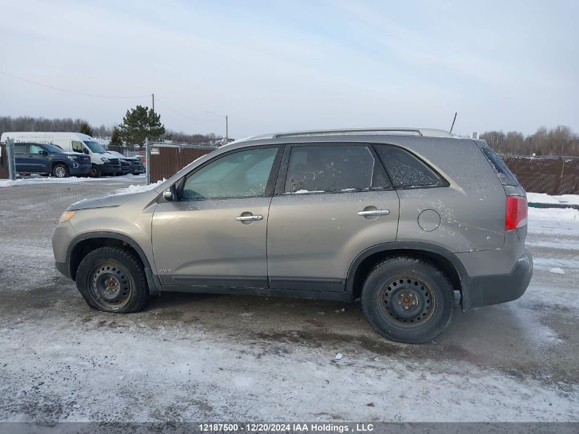 2011 Kia Sorento VIN: 5XYKTDA26BG127632 Lot: 12187500