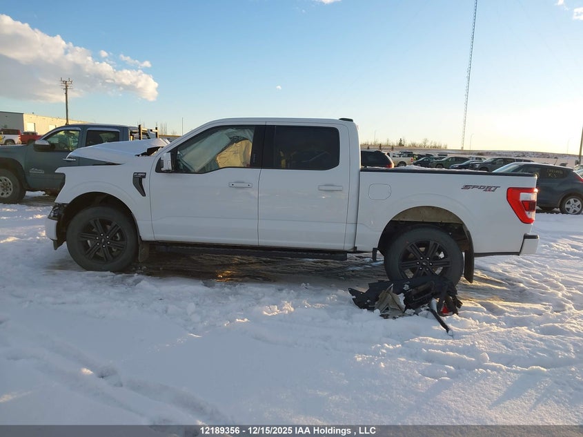 1FTEW1EP0PKF24652 2023 FORD F-150 photo no. 15
