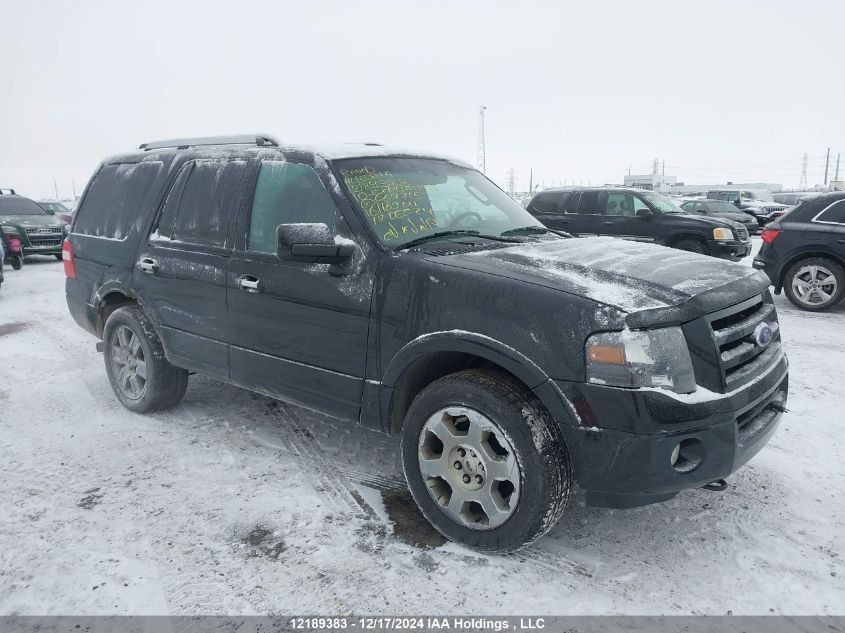2010 Ford Expedition