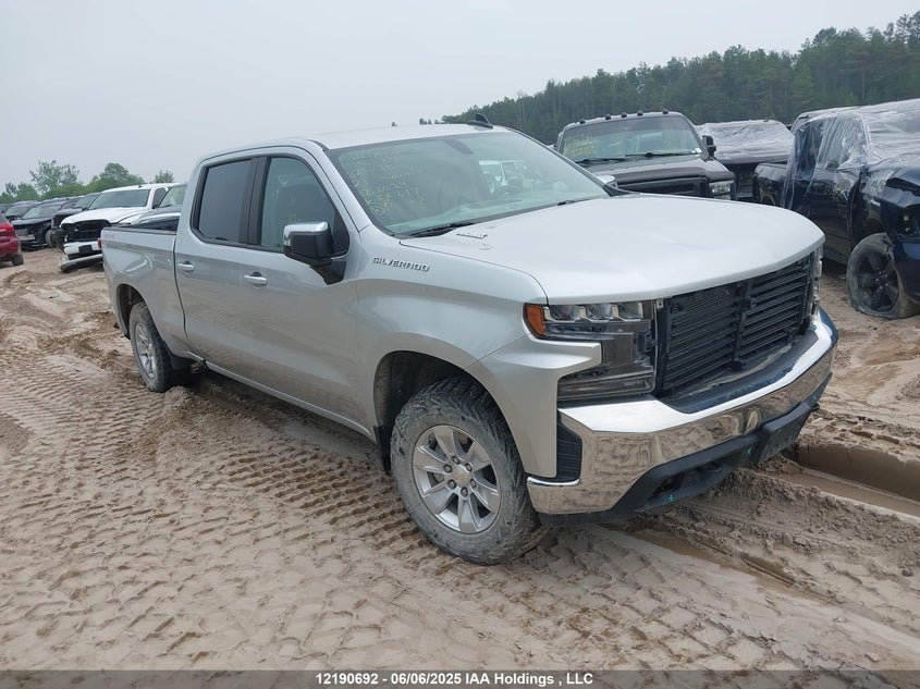 1GCUYDET1MZ320286 2021 Chevrolet Silverado 1500 auction photo 1