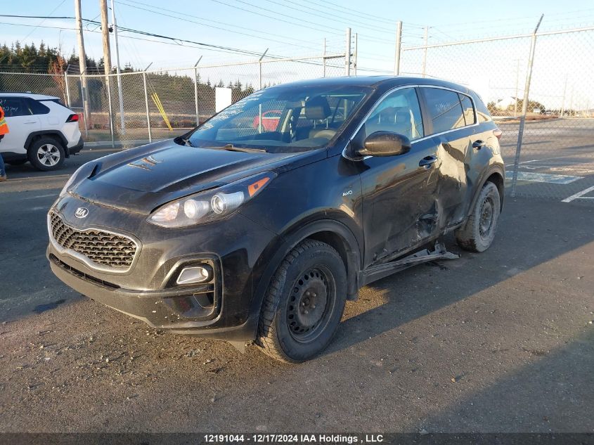 2020 Kia Sportage VIN: KNDPMCAC4L7708356 Lot: 12191044