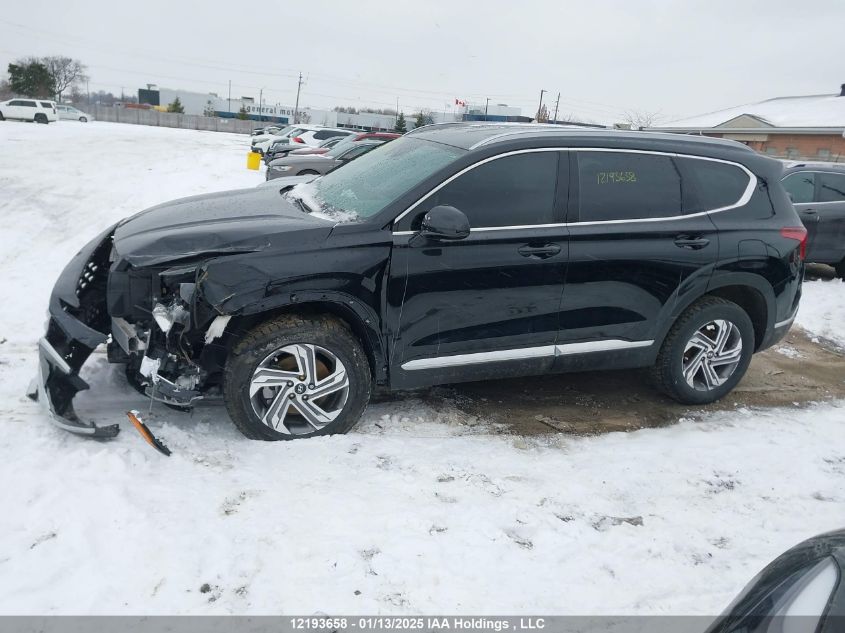 2023 Hyundai Santa Fe Sel Premium VIN: 5NMS3DAJ0PH613406 Lot: 12193658