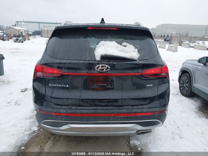 2023 Hyundai Santa Fe Sel Premium VIN: 5NMS3DAJ0PH613406 Lot: 12193658