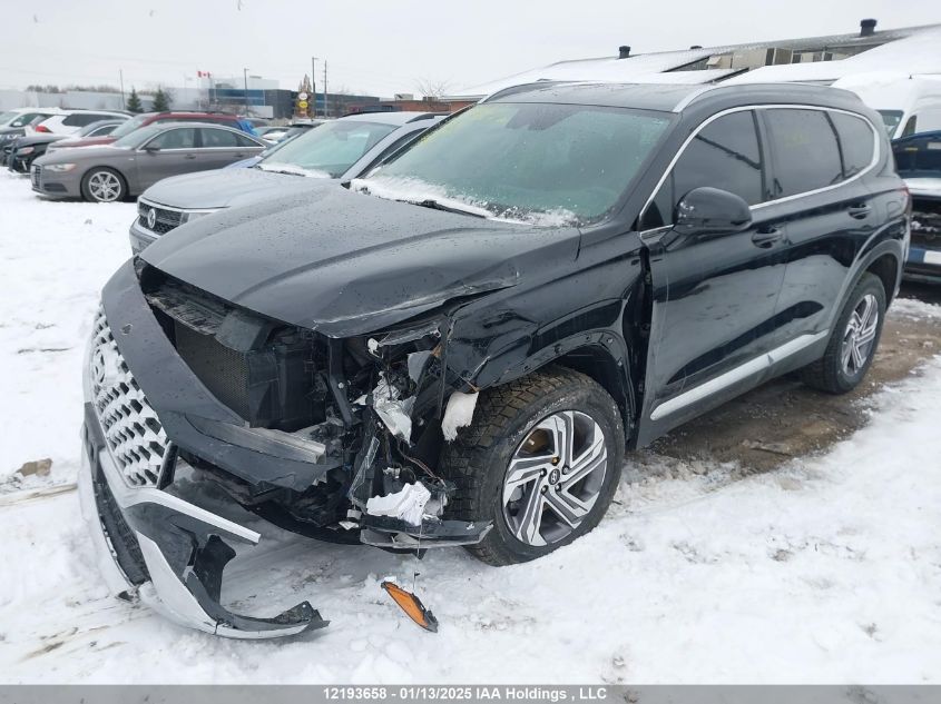 2023 Hyundai Santa Fe Sel Premium VIN: 5NMS3DAJ0PH613406 Lot: 12193658