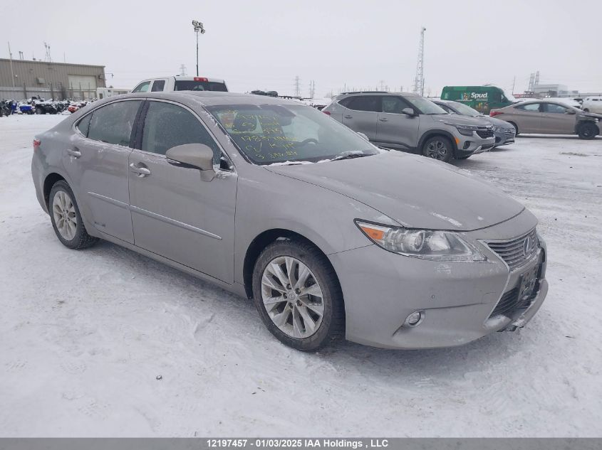 2015 Lexus ES300h