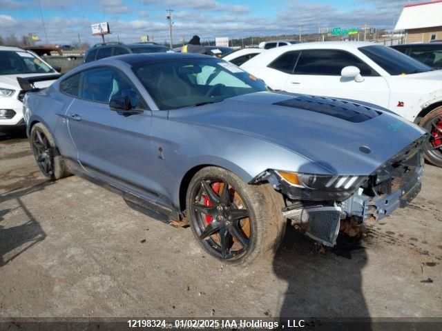 2022 Ford SHELBY