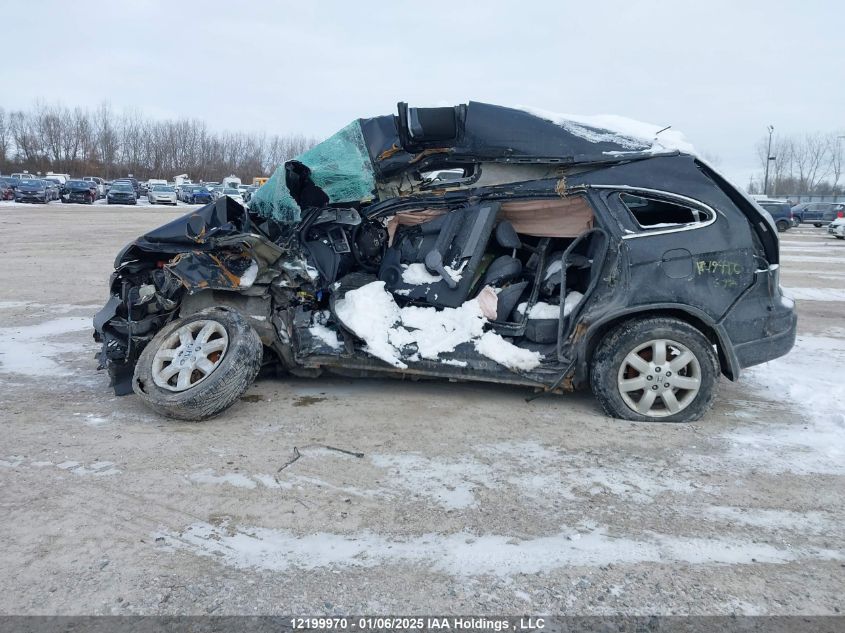 2009 Honda Cr-V Exl VIN: 5J6RE48759L812109 Lot: 12199970