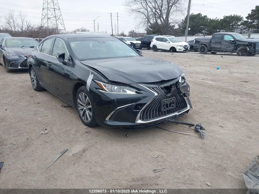 2019 Lexus ES300h