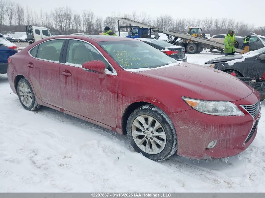2014 Lexus ES300h