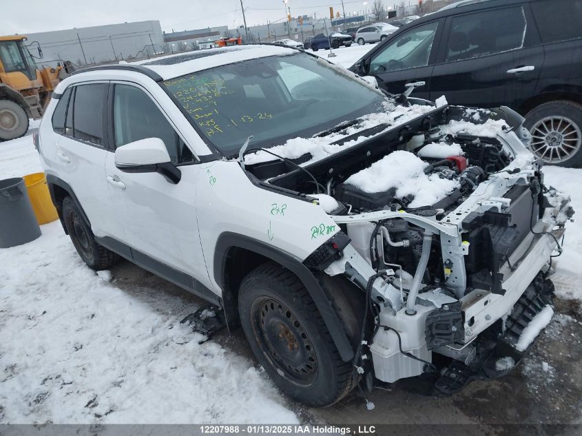 Hide VIN History Auto 2T3R1RFV6RC435840 - TOYOTA RAV4 2024