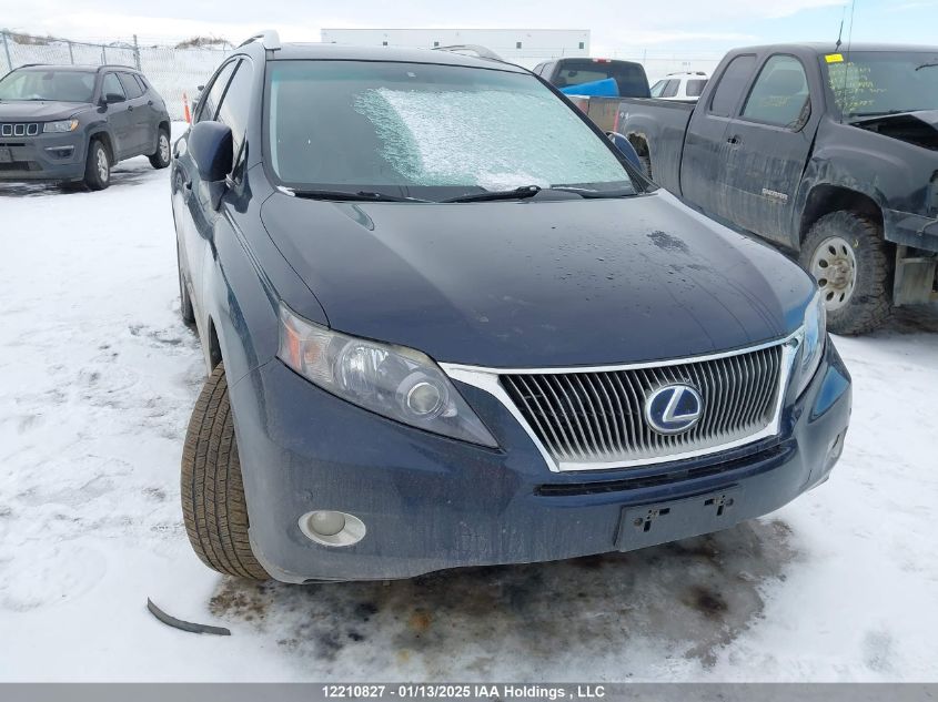 2010 Lexus Rx