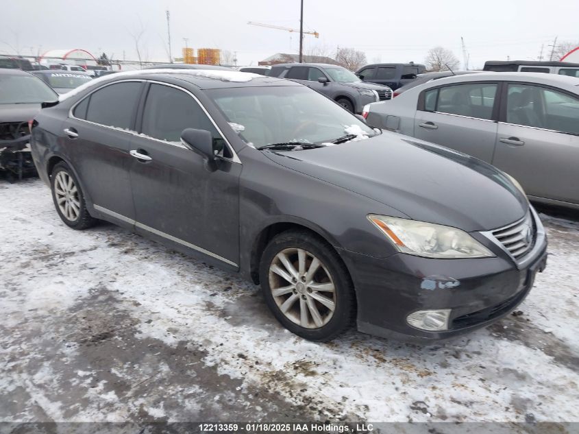 2010 Lexus ES350