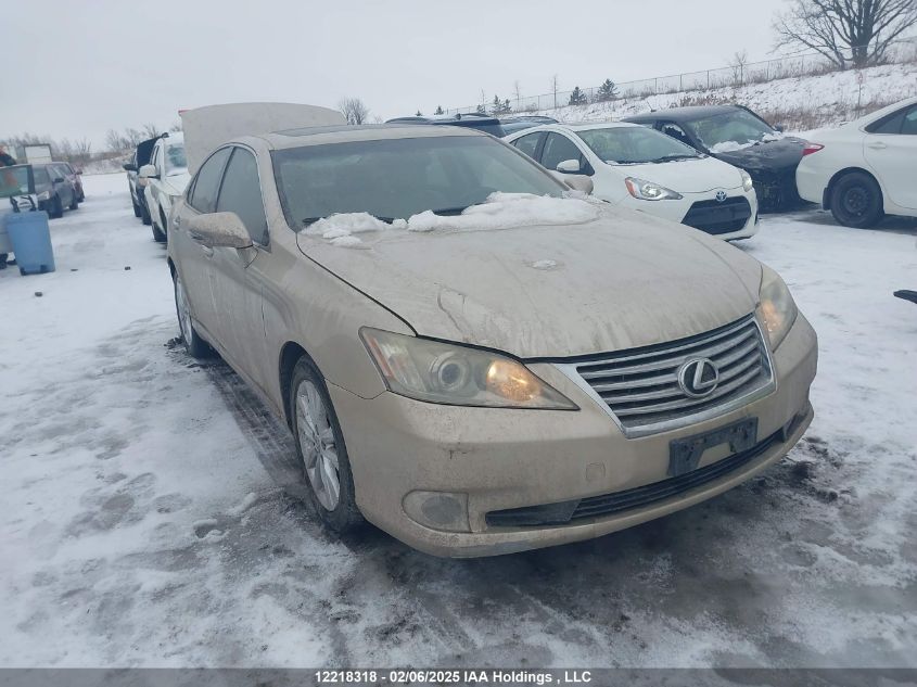 2010 Lexus ES350