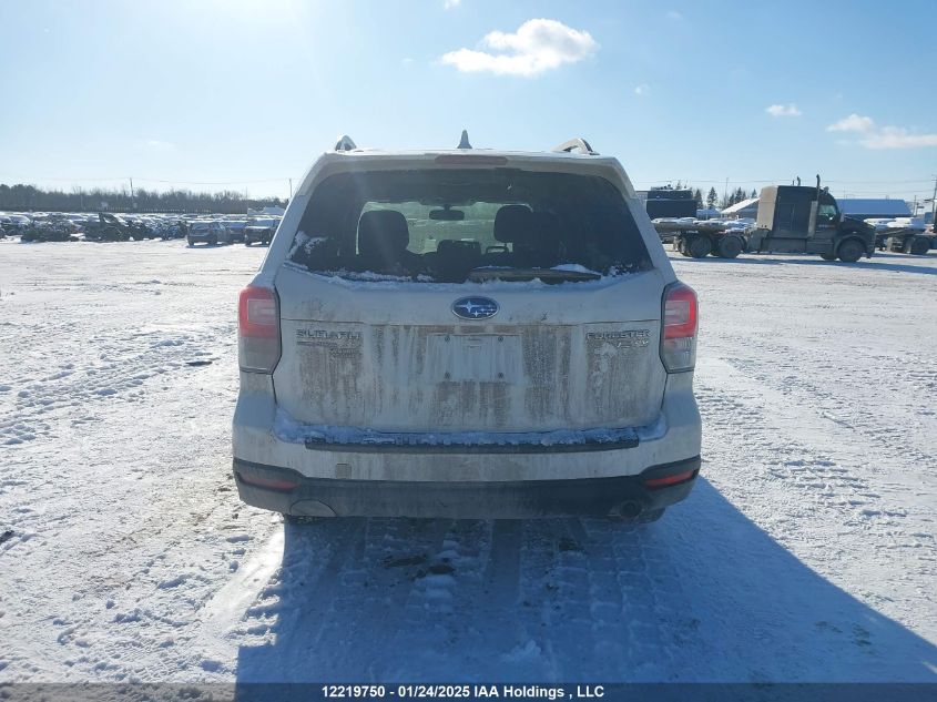 2017 Subaru Forester VIN: JF2SJEJC1HH423213 Lot: 12219750