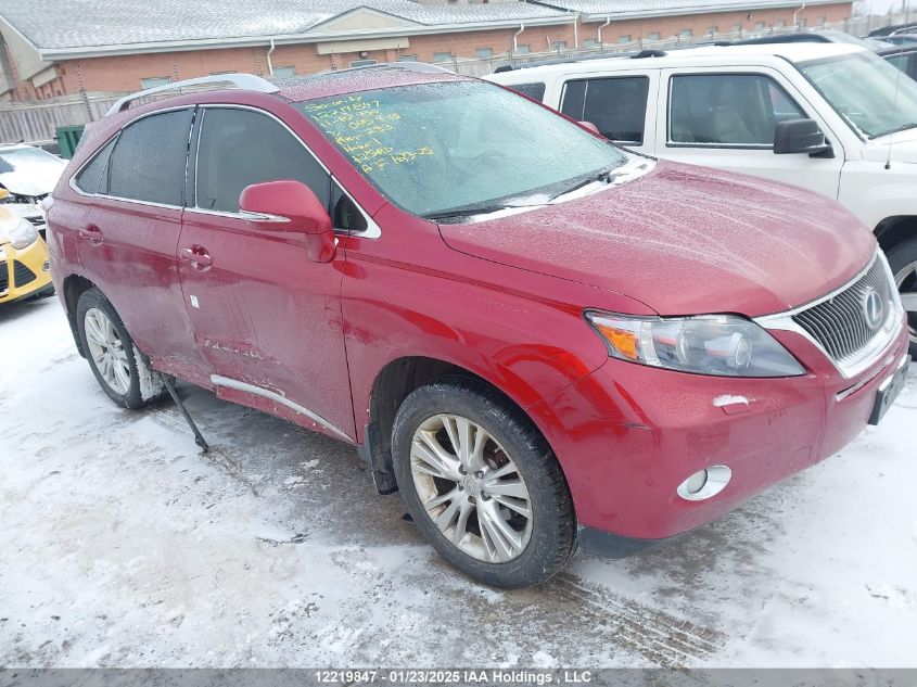2011 Lexus Rx