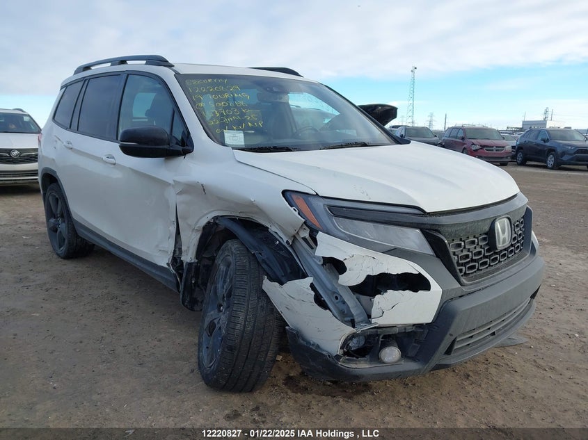 5FNYF8H91KB500868 2019 Honda Passport Touring auction photo 1