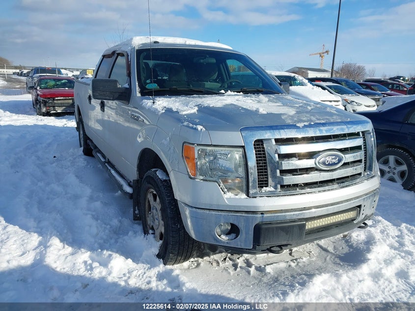 1FTFW1EF6CFB89069 2012 FORD F-150 photo no. 11