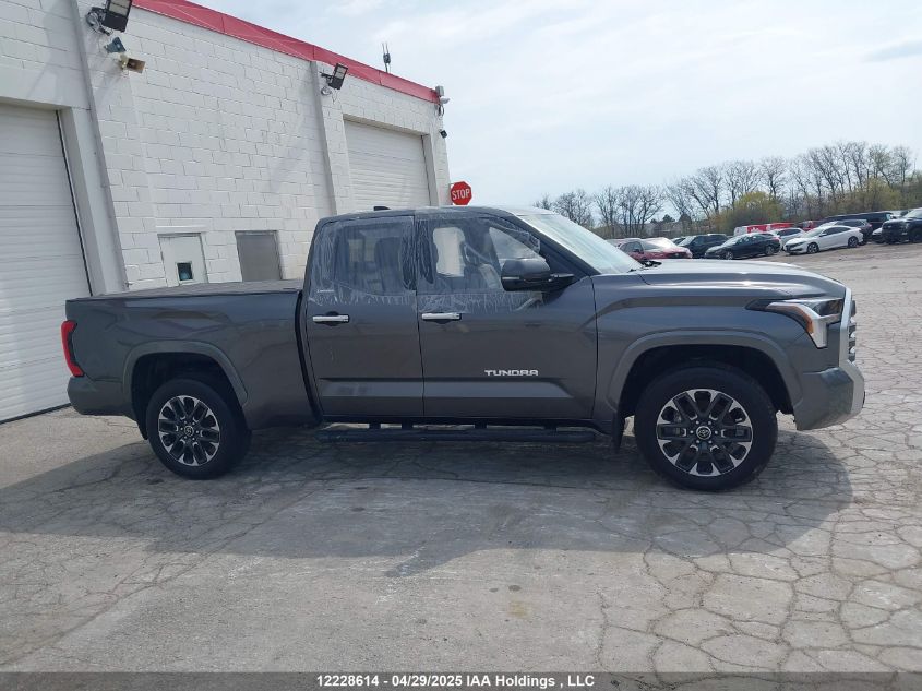 2023 Toyota Tundra VIN: 5TFJA5DAXPX127941 Lot: 12228614