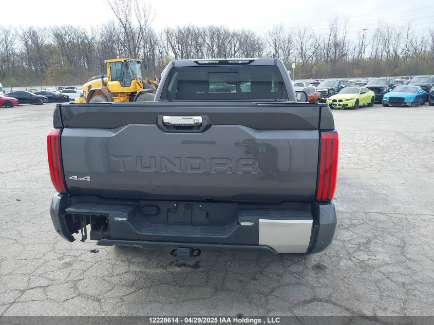 2023 Toyota Tundra VIN: 5TFJA5DAXPX127941 Lot: 12228614