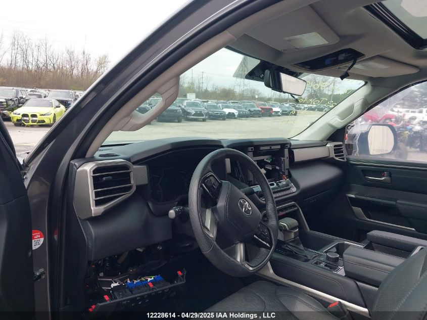 2023 Toyota Tundra VIN: 5TFJA5DAXPX127941 Lot: 12228614