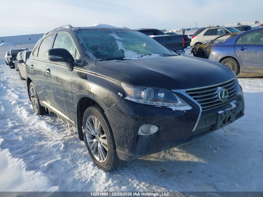 2013 Lexus Rx