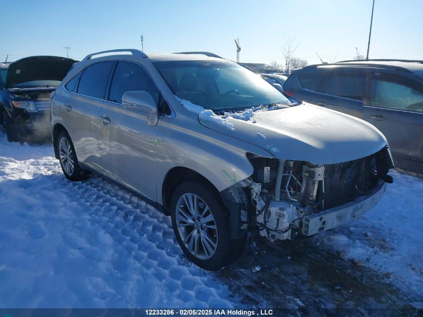 2013 Lexus Rx