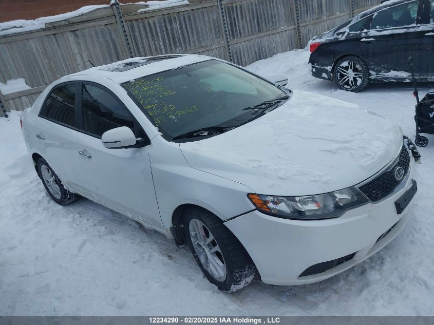 2012 Kia Forte VIN: KNAFU4A26C5598802 Lot: 12234290
